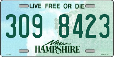 NH license plate 3098423