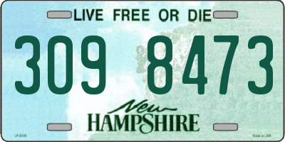 NH license plate 3098473