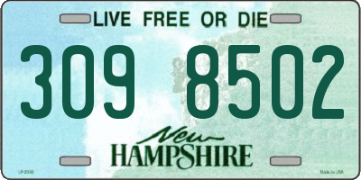 NH license plate 3098502