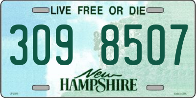 NH license plate 3098507