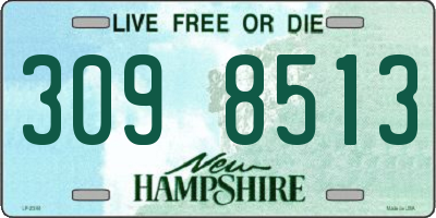 NH license plate 3098513