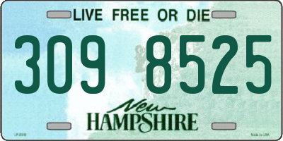 NH license plate 3098525