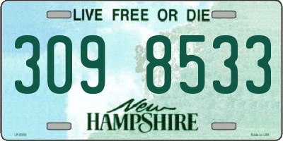 NH license plate 3098533