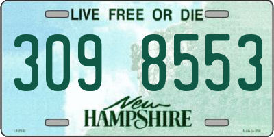 NH license plate 3098553