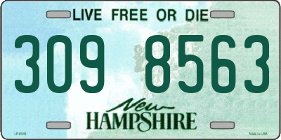 NH license plate 3098563