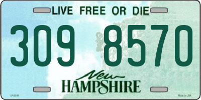 NH license plate 3098570