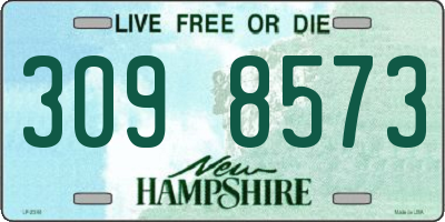 NH license plate 3098573