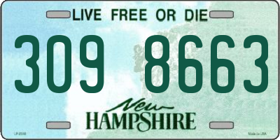 NH license plate 3098663