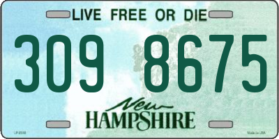 NH license plate 3098675