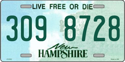 NH license plate 3098728