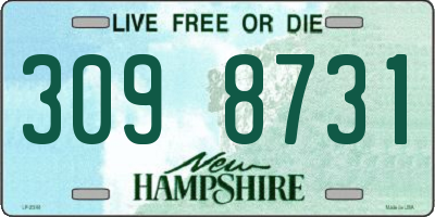NH license plate 3098731