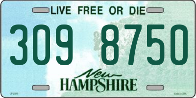 NH license plate 3098750