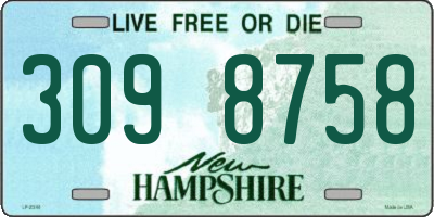 NH license plate 3098758