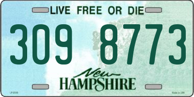 NH license plate 3098773