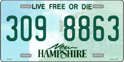 NH license plate 3098863