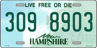 NH license plate 3098903