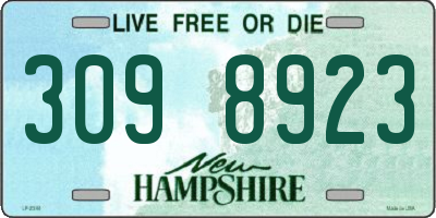 NH license plate 3098923