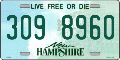 NH license plate 3098960