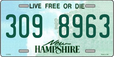 NH license plate 3098963