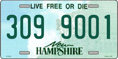 NH license plate 3099001
