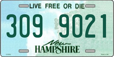 NH license plate 3099021
