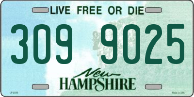 NH license plate 3099025