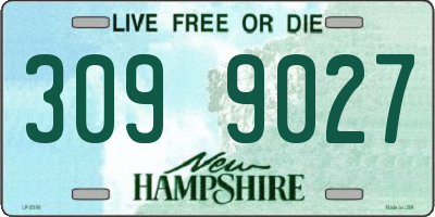 NH license plate 3099027