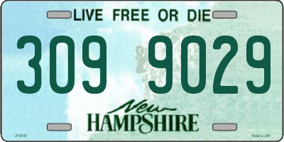 NH license plate 3099029