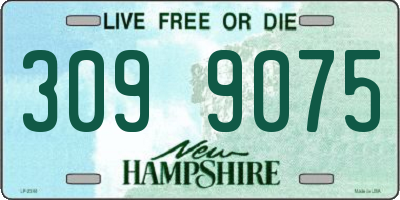 NH license plate 3099075