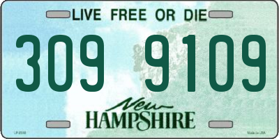 NH license plate 3099109