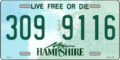 NH license plate 3099116
