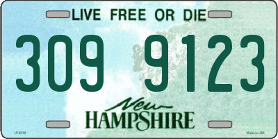 NH license plate 3099123
