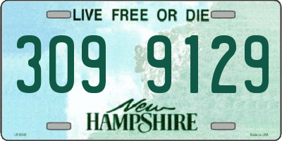 NH license plate 3099129