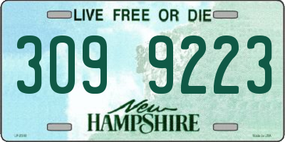 NH license plate 3099223