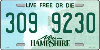 NH license plate 3099230