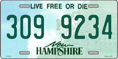 NH license plate 3099234