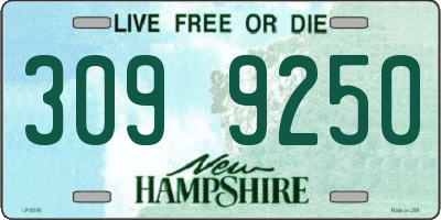 NH license plate 3099250