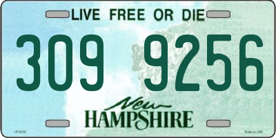 NH license plate 3099256
