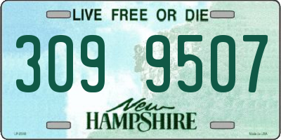 NH license plate 3099507