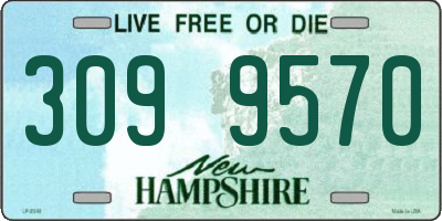 NH license plate 3099570