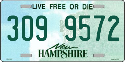 NH license plate 3099572