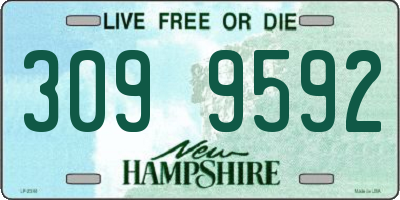 NH license plate 3099592