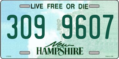 NH license plate 3099607