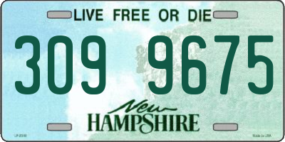 NH license plate 3099675