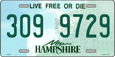 NH license plate 3099729