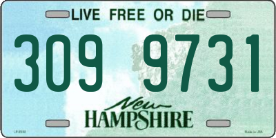 NH license plate 3099731