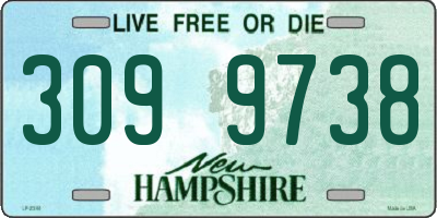 NH license plate 3099738