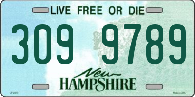 NH license plate 3099789