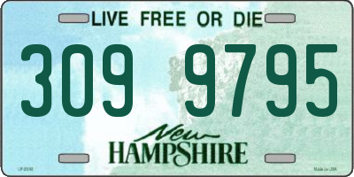 NH license plate 3099795