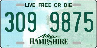 NH license plate 3099875